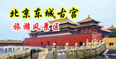 天天操美女小嫩B中国北京-东城古宫旅游风景区